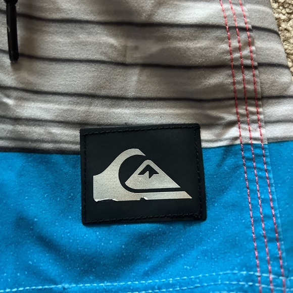 Toddler Boy Quicksilver Swim Trunks - Picture 3 of 4